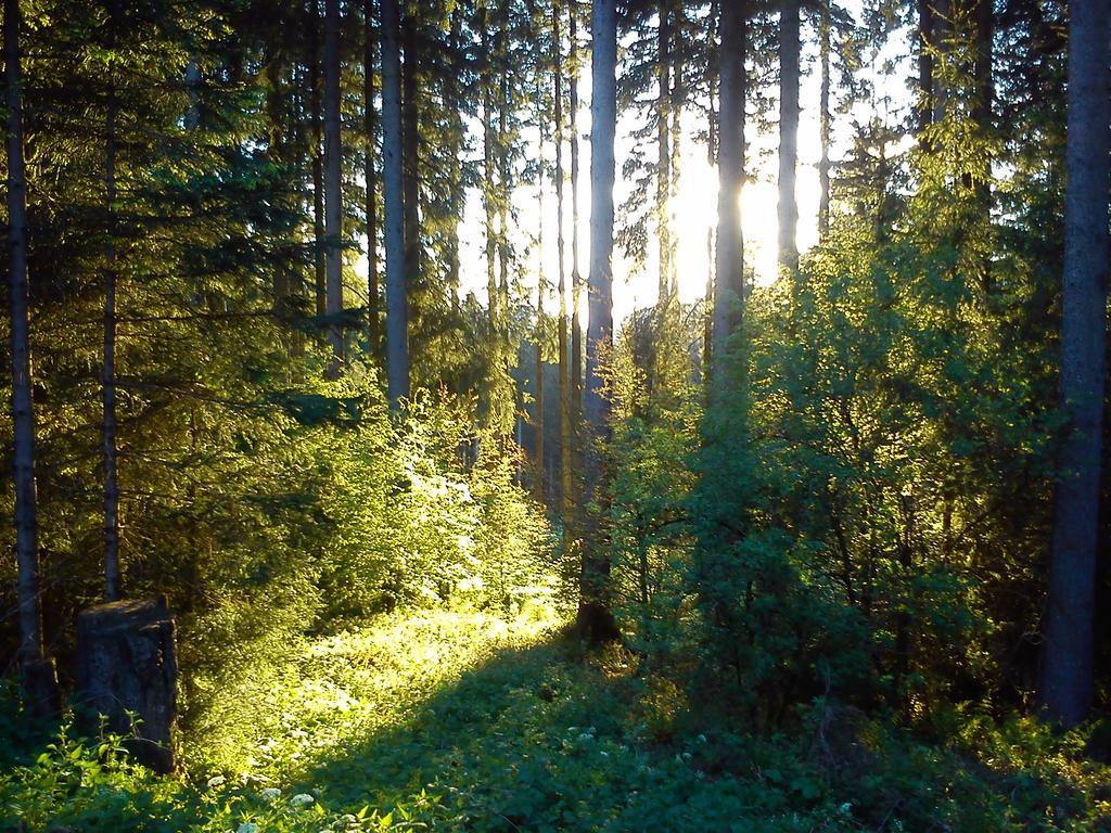 Apartmán Haus Ritter Missen-Wilhams Exteriér fotografie